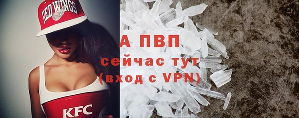 винт Алексин